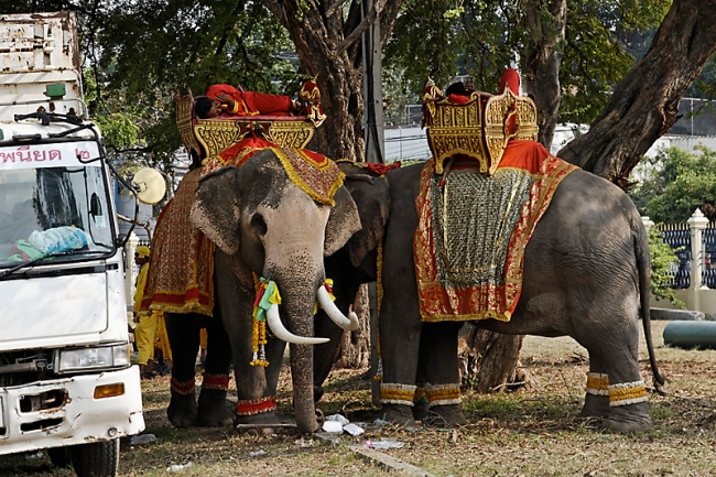 Lopburi King Narai fair-001